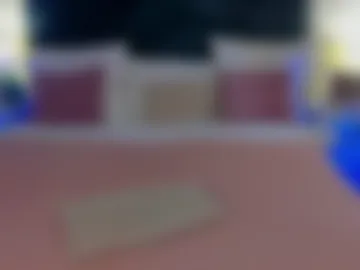merylew webcam preview