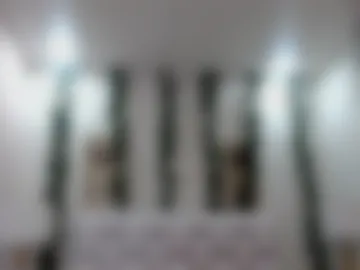 miaa_gh1 webcam preview
