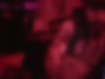 miamistephens live webcam preview