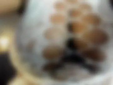 michellepreston_ photo 2