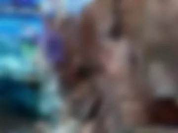 mick_storm live webcam preview