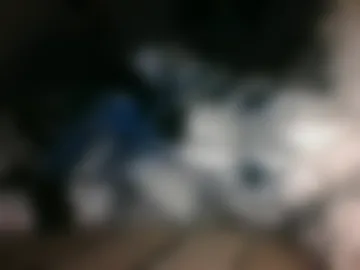 midnightlycan3 live webcam preview