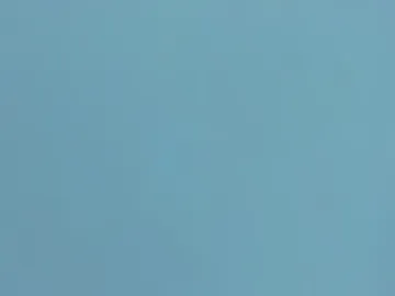 mike_256 webcam preview