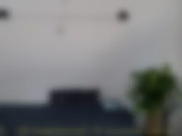 mikethomson01 photo 5