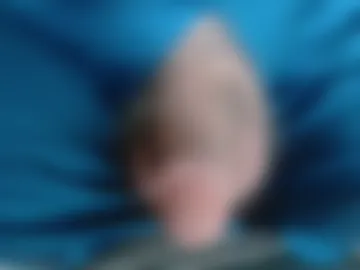 miketrike137 photo 8