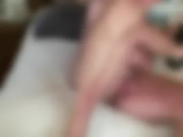 millergardener live webcam preview