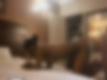 minniehunney webcam preview