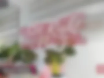 miss_catalinaa photo 4