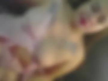miss_jam live webcam preview