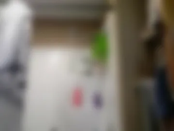 misseeva webcam preview