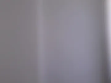 missmina webcam preview
