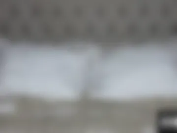 mixedislandcouple webcam preview