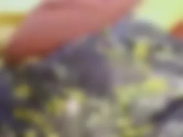 mnguy19726969 photo 8