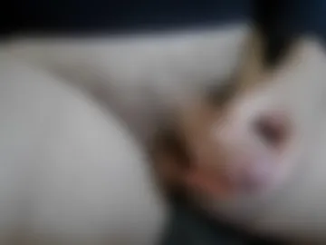 mnucdaddy webcam preview