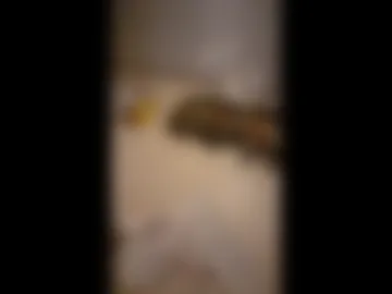 moannameplzdavid live webcam preview