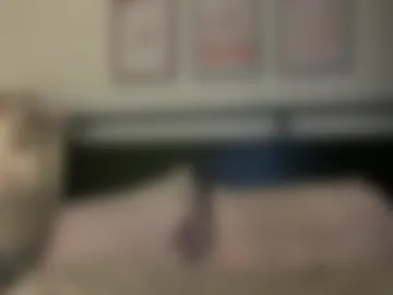 mollyxxxmoon photo 3