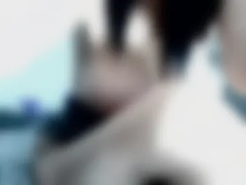 mommy26 webcam preview