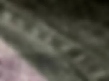 money23honey live webcam preview