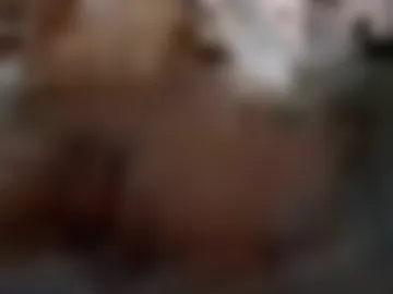 monkey1700 webcam preview