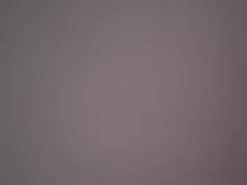 monster_affair live webcam preview