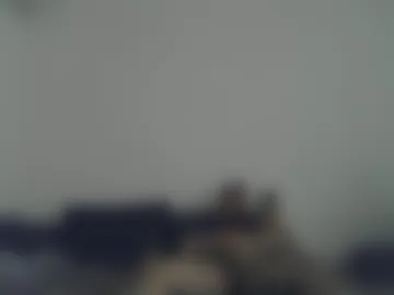 montenegrinos_ live webcam preview
