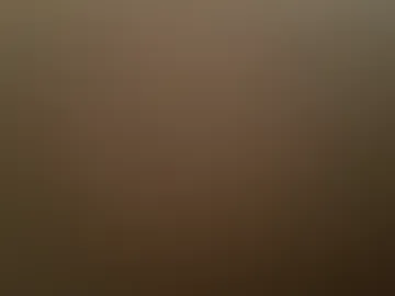 moos1 photo 3
