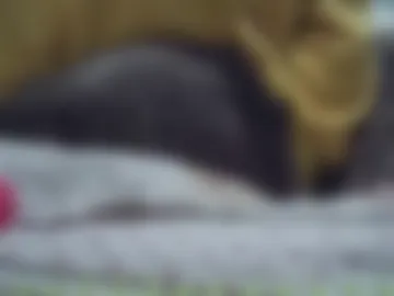 morbo100pre live webcam preview