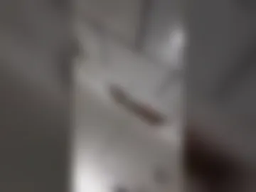 mortyck live webcam preview