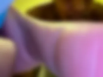 mr_chocolate88 photo 2