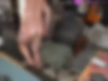 mr_foxxy webcam preview