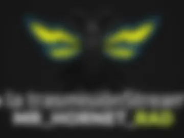 mr_hornet_rad photo 8