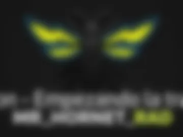 mr_hornet_rad photo 7