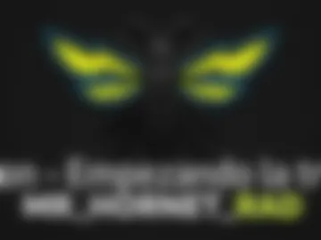 mr_hornet_rad photo 6