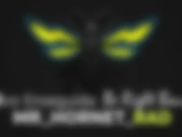 mr_hornet_rad photo 5