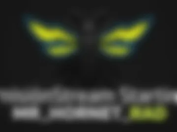 mr_hornet_rad photo 4