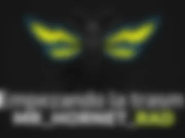 mr_hornet_rad photo 3