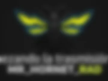 mr_hornet_rad photo 2