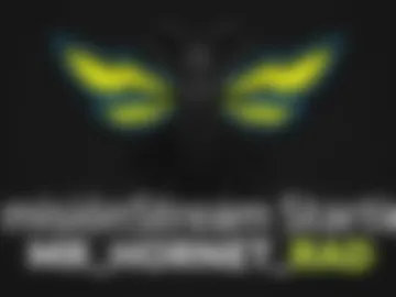 mr_hornet_rad webcam preview