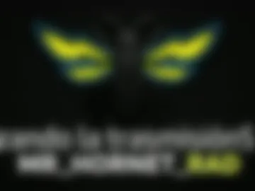mr_hornet_rad live webcam preview