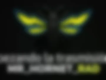 mr_hornet_rad live webcam preview