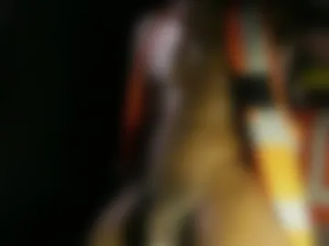 mrbigdiq live webcam preview