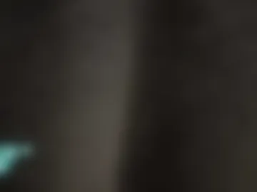 mscindy webcam preview