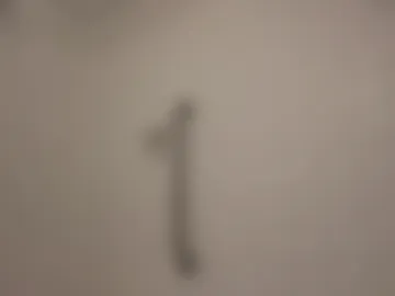 mskitty000 webcam preview