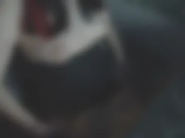 msm_kitty live webcam preview