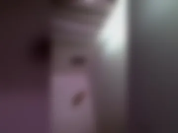 msthick00 live webcam preview