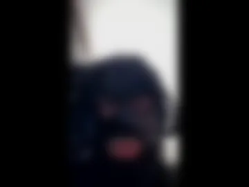 mucle_sissy live webcam preview