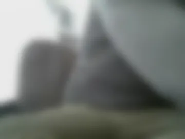 mudjimba webcam preview