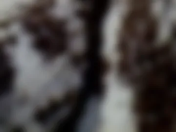 multicummingcock photo 7