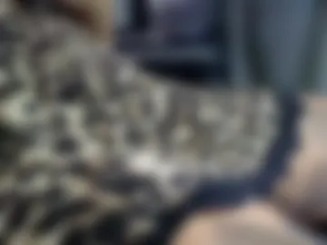 mvafkr photo 3
