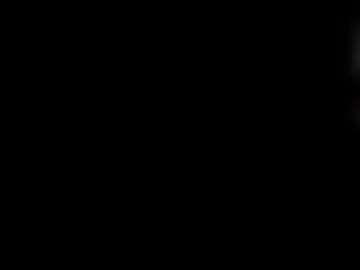 mvpzxc photo 3